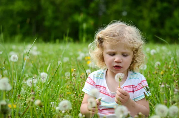 Meisje waait een paardebloem — Stockfoto