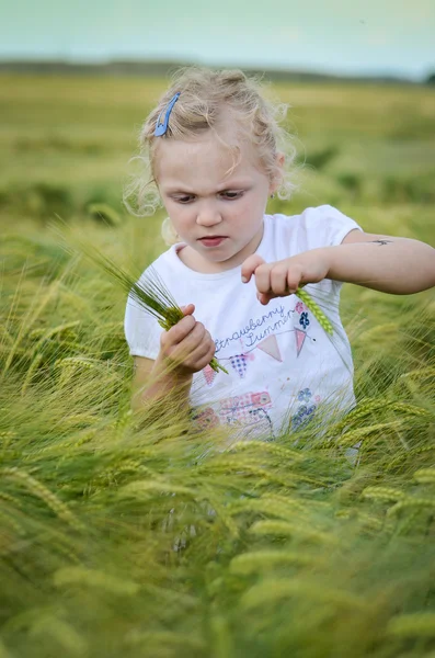 Criança em um campo de centeio — Fotografia de Stock