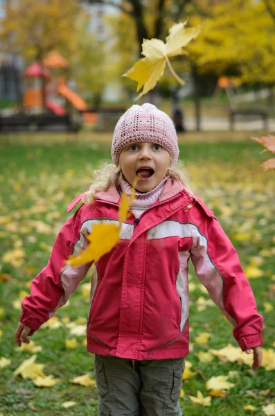 Menina e folhas de outono — Fotografia de Stock