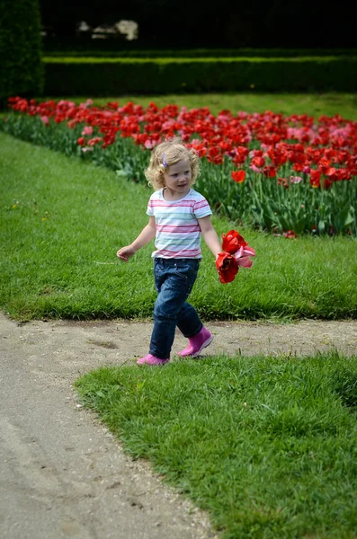 Chica rubia y tulipanes rojos —  Fotos de Stock
