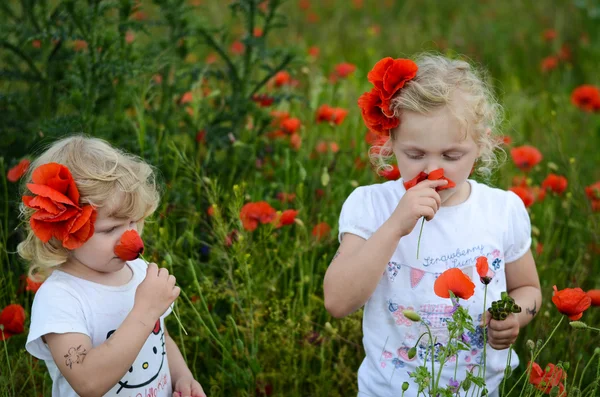 Niños en un campo de amapola de maíz —  Fotos de Stock