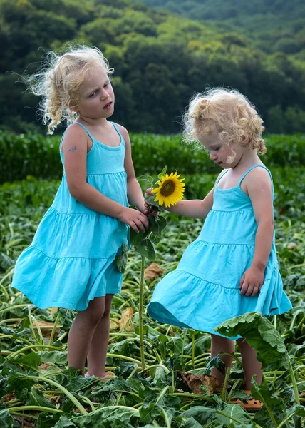 Meninas e um girassol — Fotografia de Stock