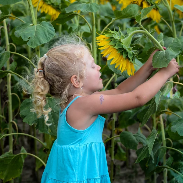 女孩和一朵向日葵 — 图库照片