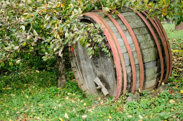 Barril — Foto de Stock