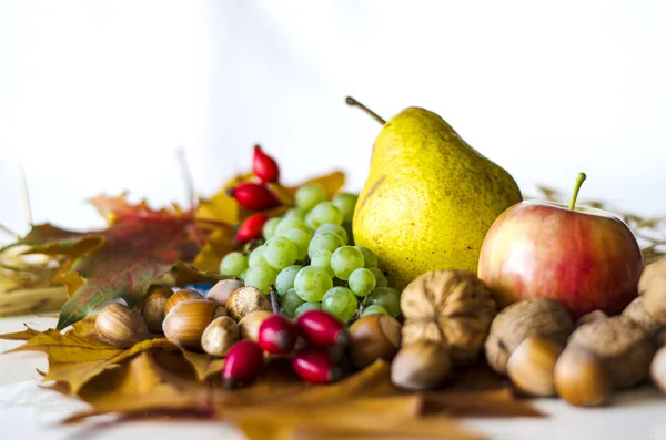 Herbstfrüchte — Stockfoto