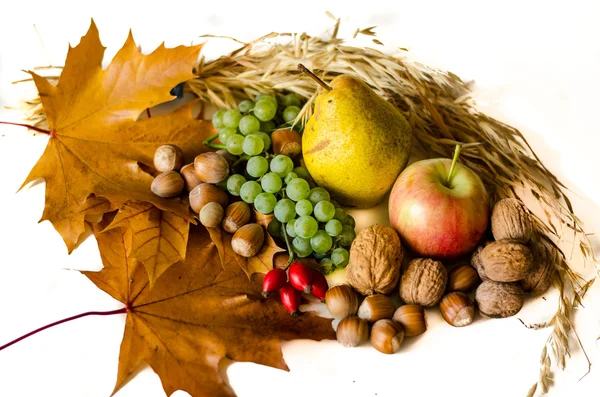 Autumn fruits — Stock Photo, Image