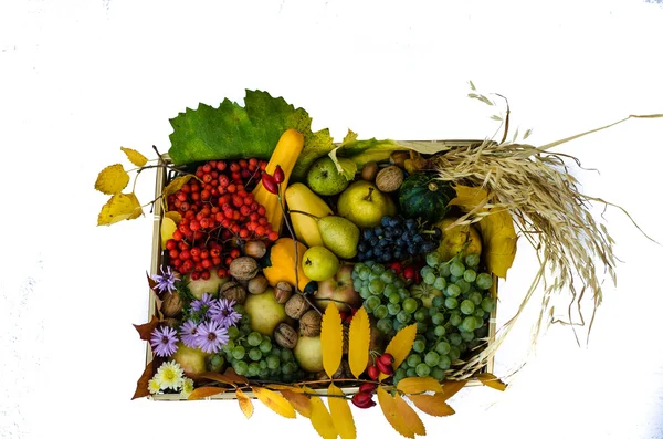 Осенние фрукты — стоковое фото