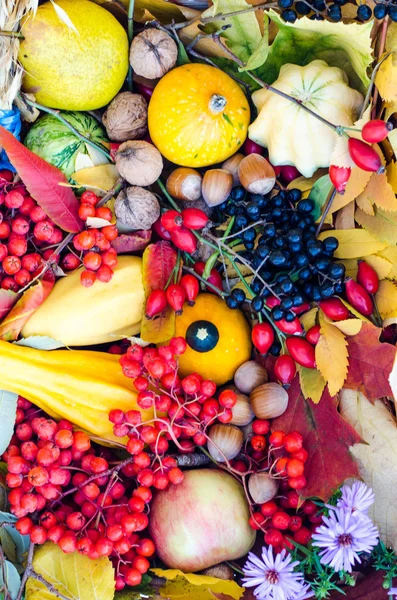 Autumn fruits — Stock Photo, Image