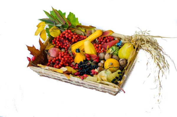 Autumn fruits — Stock Photo, Image