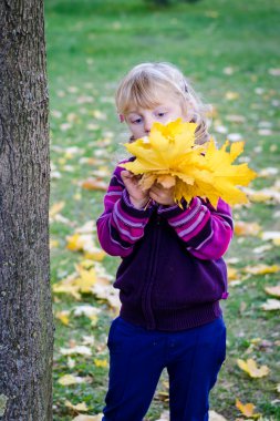 sonbahar yaprakları ile kız