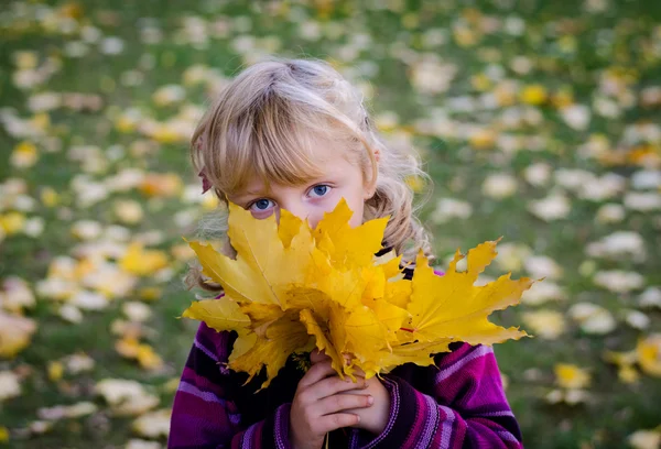 Dívka s podzimní listí — Stock fotografie