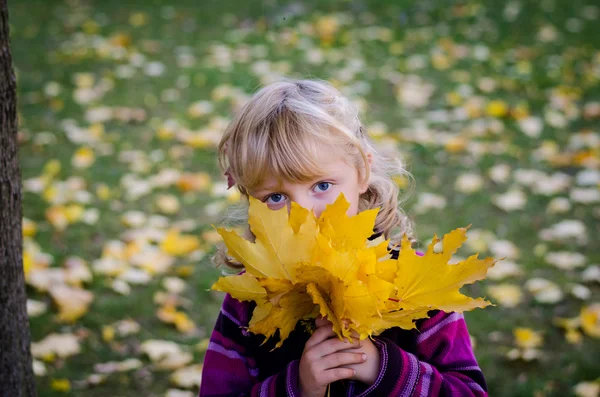 Chica con hojas de otoño —  Fotos de Stock