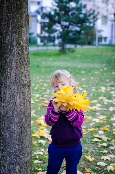 Dívka s podzimní listí — Stock fotografie