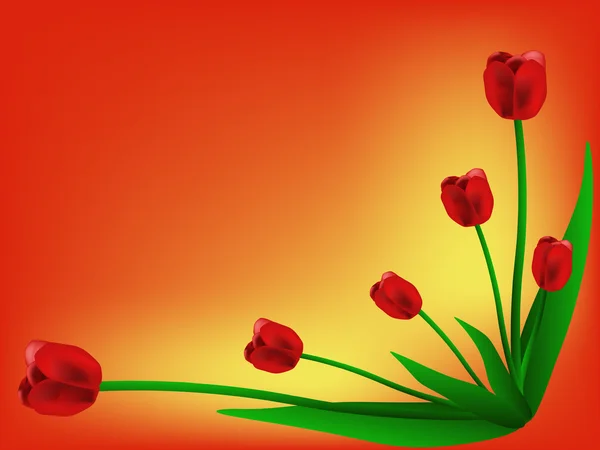 Carte tulipes — Image vectorielle
