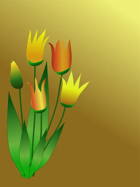 Tulips — Stock Vector