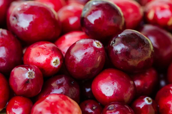 Cranberries — Stock Photo, Image