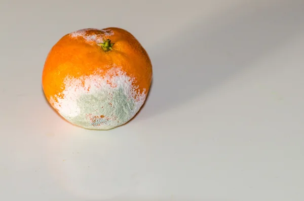 Гнилі помаранчевий — стокове фото