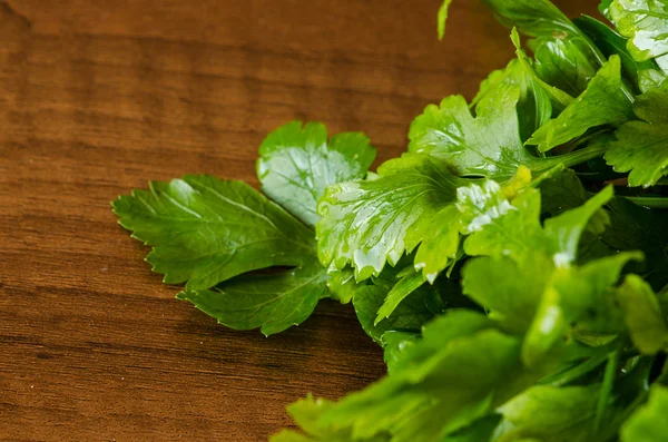 Parsley — Stock Photo, Image