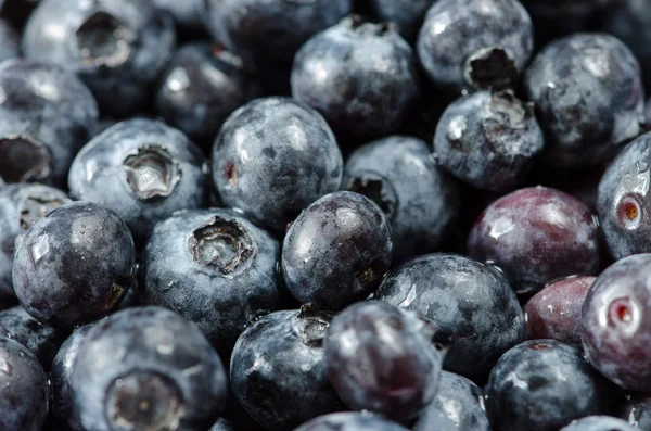 Bilberry — Stok fotoğraf