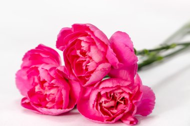 Pembe çiçek