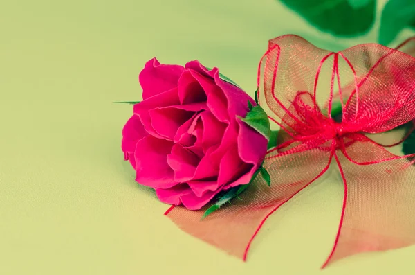 Red rose — Stock Photo, Image