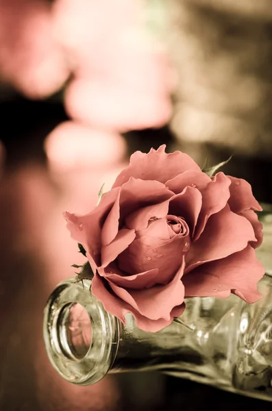 Red rose retro — Stock Photo, Image