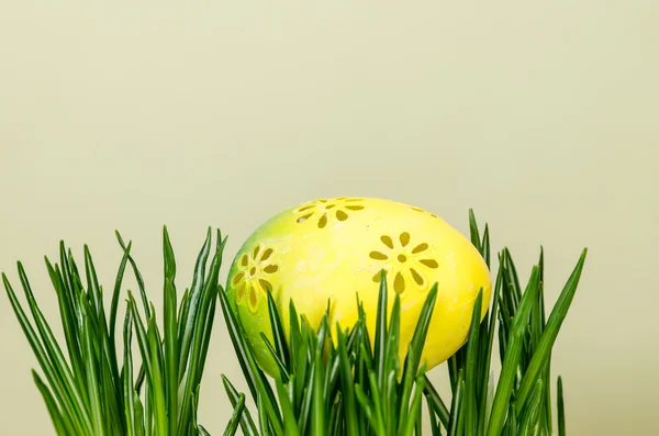 Easter egg on green grass — Stock Photo, Image