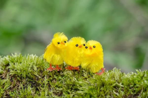 Easter chicken — Stock Photo, Image