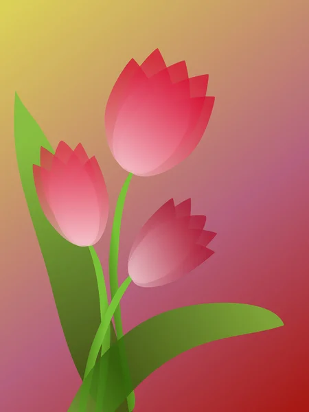 Pink tulips — Stock Vector