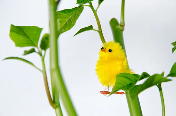 Easter hen — Stock Photo, Image