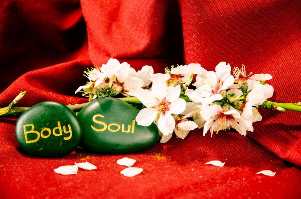 Весенний цветок и лава
