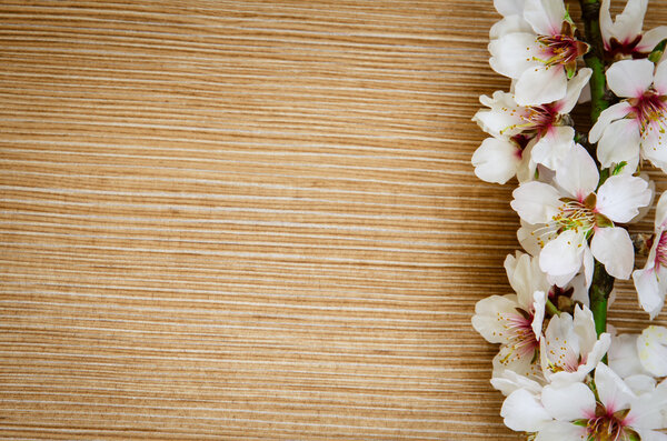 весенний цветок
 