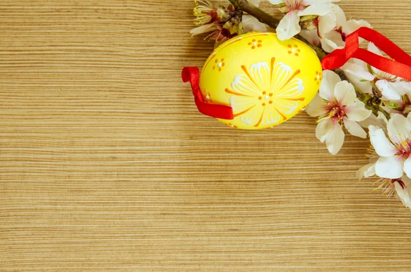 Easter flower and egg — Stock Photo, Image