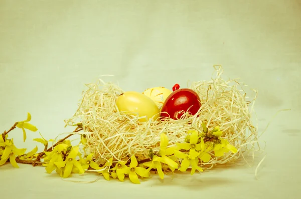 Easter decoration — Stock Photo, Image