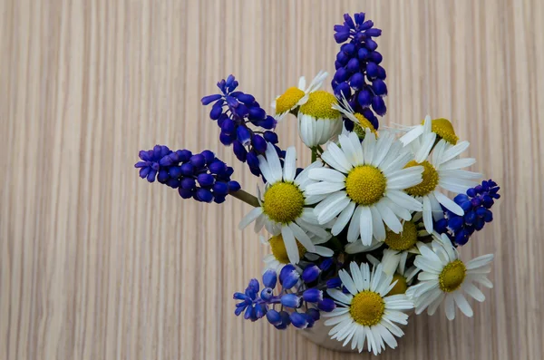 Kolorowe kwiaty — Zdjęcie stockowe