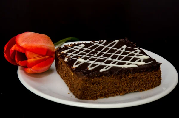 Gâteau au chocolat et tulipe rouge — Photo