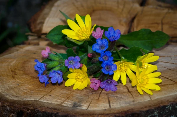 Bunch of blue pink yellow flowers — Stock Photo, Image