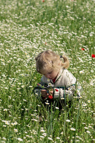 Bambino sul prato di fiori — Foto Stock