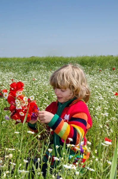 Niño en el prado de flores — Foto de Stock