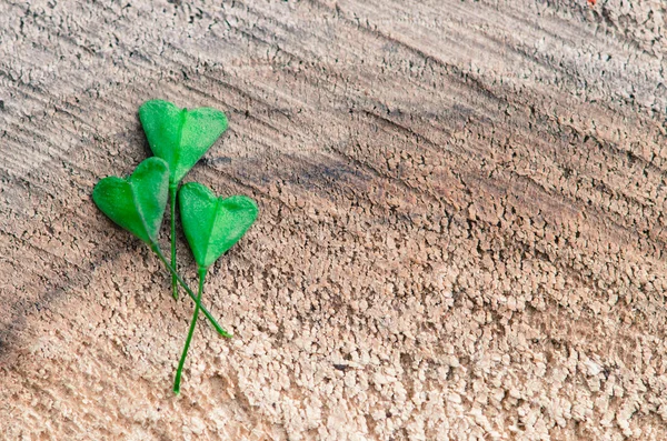 Folhas verdes — Fotografia de Stock