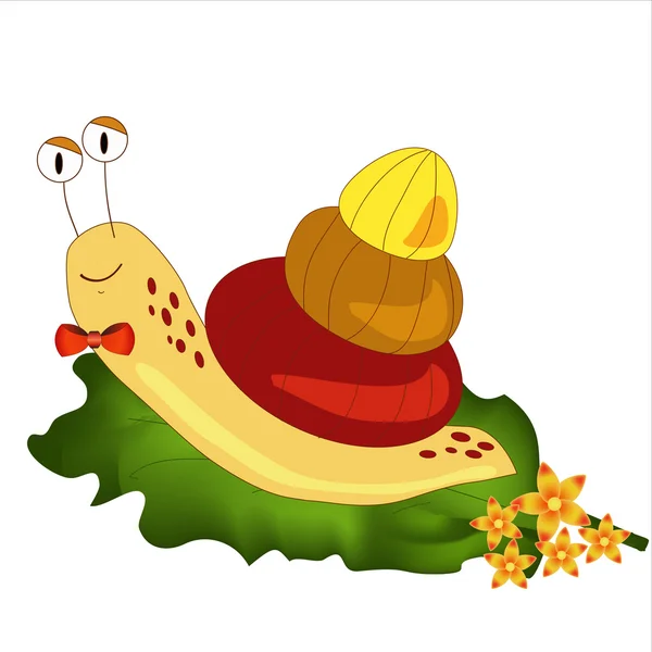 Snail illustration — Stock Vector