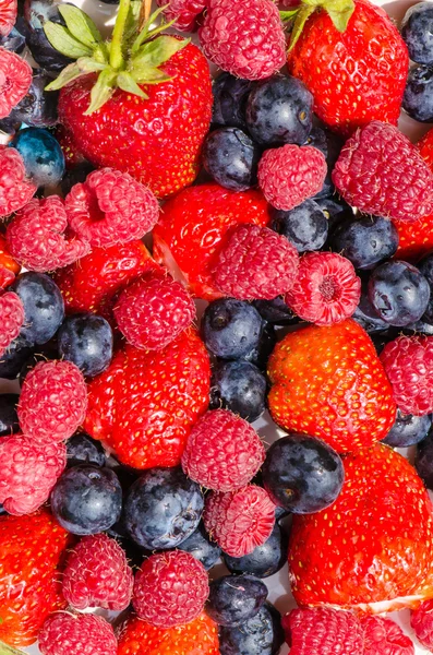 Mirtillo rosso, fragola e mirtillo — Foto Stock