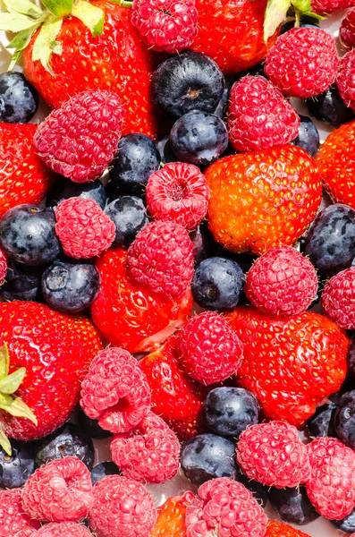 Yaban mersini, çilek ve bilberry — Stok fotoğraf