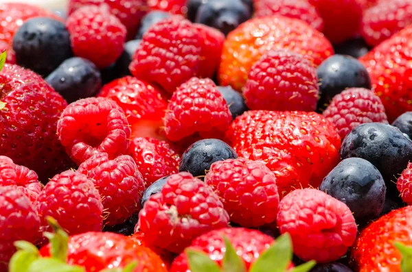 Arándanos, fresas y arándanos —  Fotos de Stock