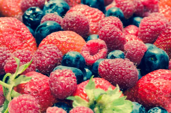 Yaban mersini, çilek ve bilberry — Stok fotoğraf