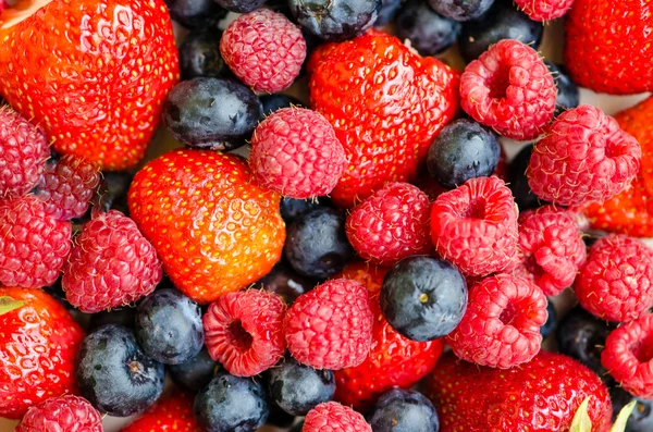 Yaban mersini, çilek ve bilberry — Stok fotoğraf