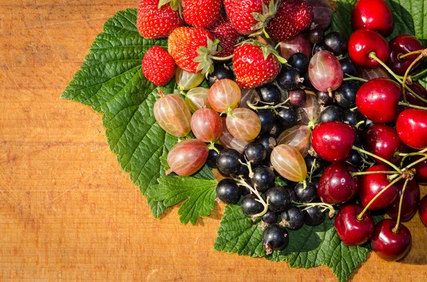 醋栗、 草莓、 樱桃和黑醋栗 — 图库照片