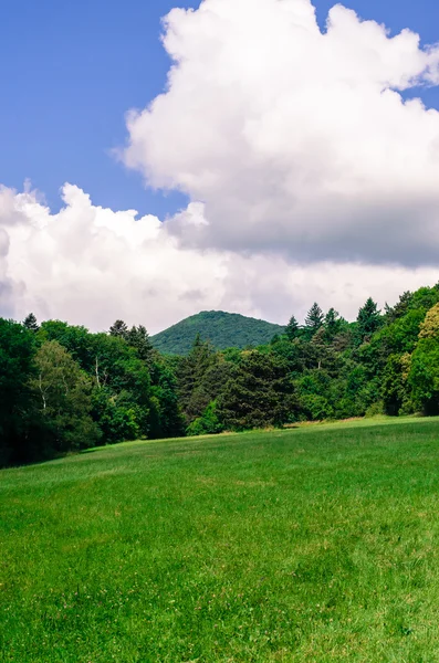 Landschaft — Stockfoto