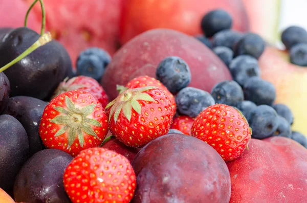 Gruppo di frutti colorati — Foto Stock