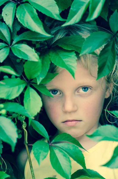 Girl face in leaves — Stock Photo, Image